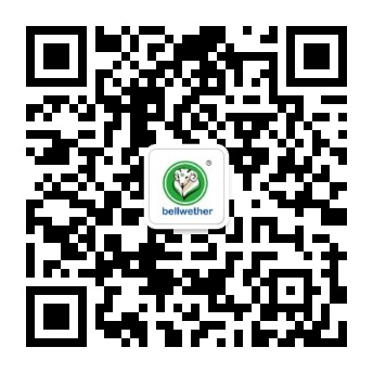 开云体育在线微信公众号